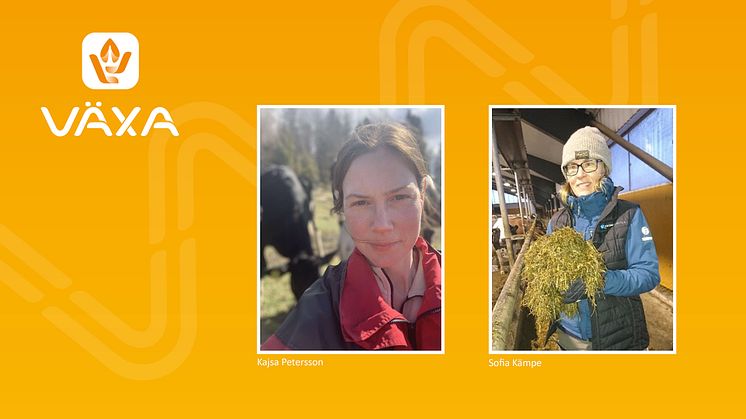 Sofia Kämpe och Sofia Petersson föreslås som nya ledamöter till Växa Sveriges styrelse 