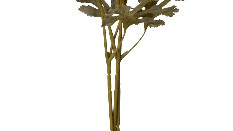 NYHET! Ranunculus 60 cm Mixed colors Artificial material 2,99 EUR.jpg