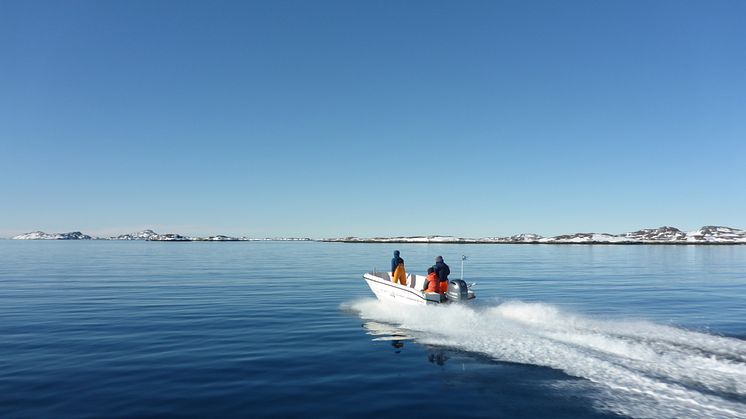 RS14381_2_-_Nuuk_fjord_Greenland_Lumpfish_boat_going_out_2019-04-29.JPG