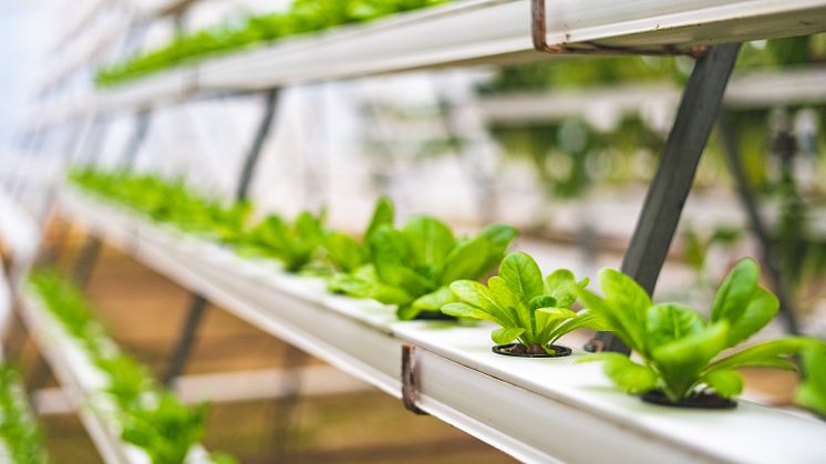 Fellowmind breddar sitt erbjudande inom Food & Beverage-branschen