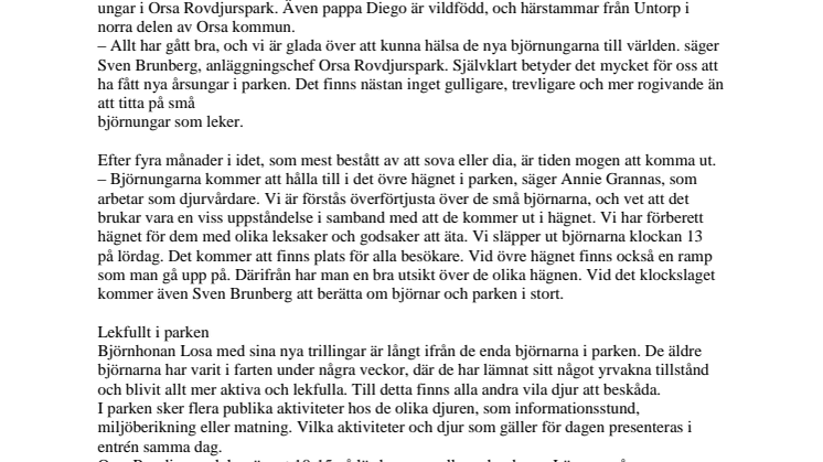 Björnungar lämnar idet – presenterar sig på lördag