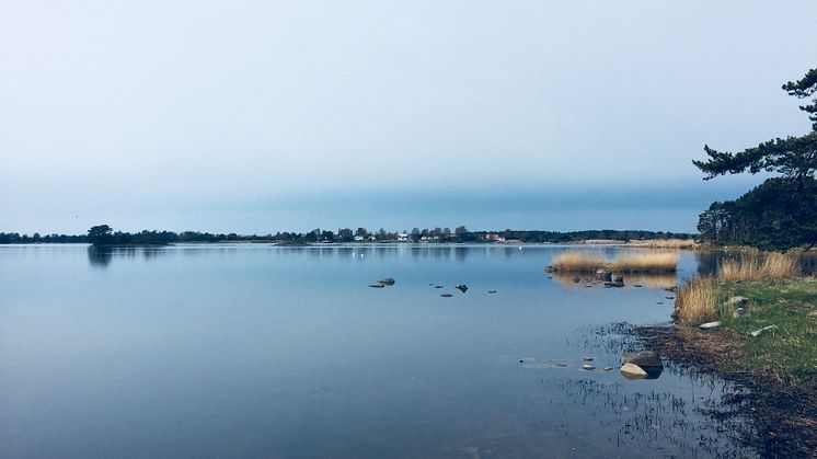 Försvagat strandskydd – miljöexperter reagerar starkt