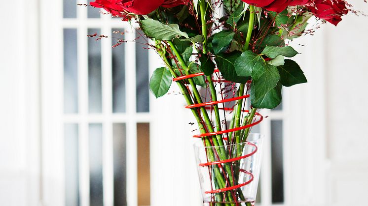flowerspring_rod_rodarosor 