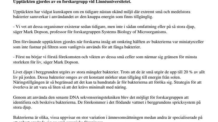Mikroliv upptäckt långt ner i berget