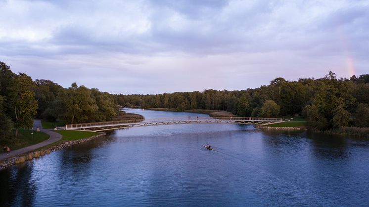 Lasse Olsson Photo-9871