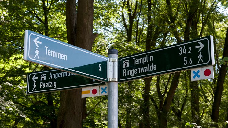 Der Märkische Landweg führt einmal quer durch die Uckermark bis an die Oder. Foto: Klaus-Peter Kappest. 