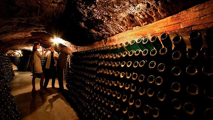 Caves Codorniu I