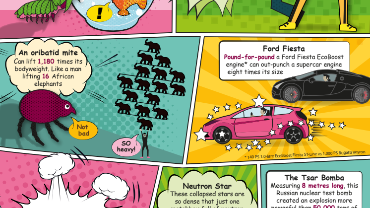 Ford Fiesta - en lille bil med punch