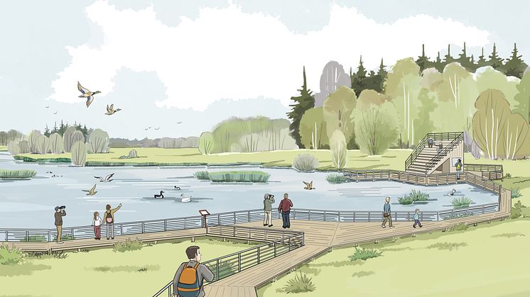våtmark illustration 1.jpg