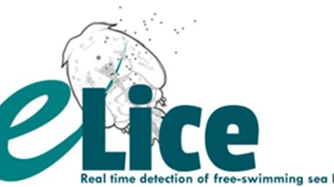 e-Lice logo
