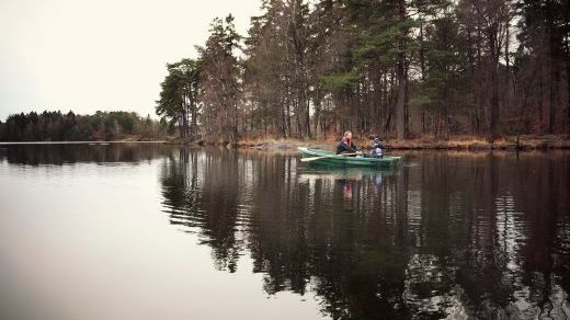 HaV inför vårfiskeförbud i Värmdö kommun för att stärka fiskbestånden