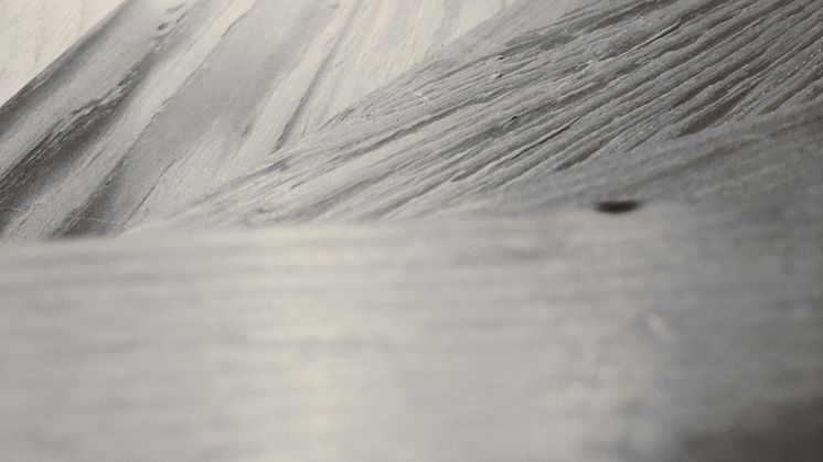 Wood_Dreem Arkitekter