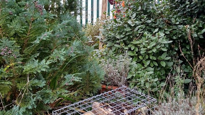 Harlington homes for nature