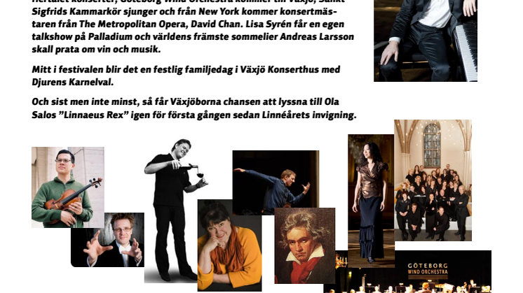 Tengstrandfestivalen Noll10