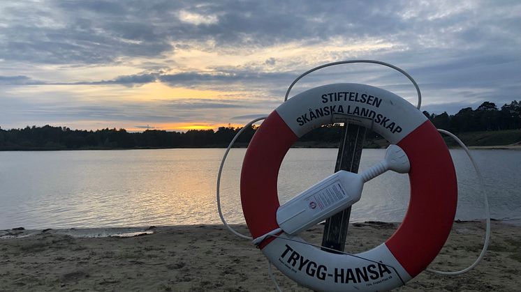 Invasiva vandringsmusslor har hittats i norra Saxtorpsjön, den populära badsjön, på Järavallen.