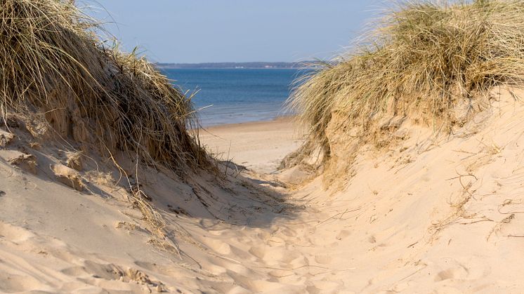 Ta vägen till 45 km strand i Halmstad. Foto: Destination Halmstad