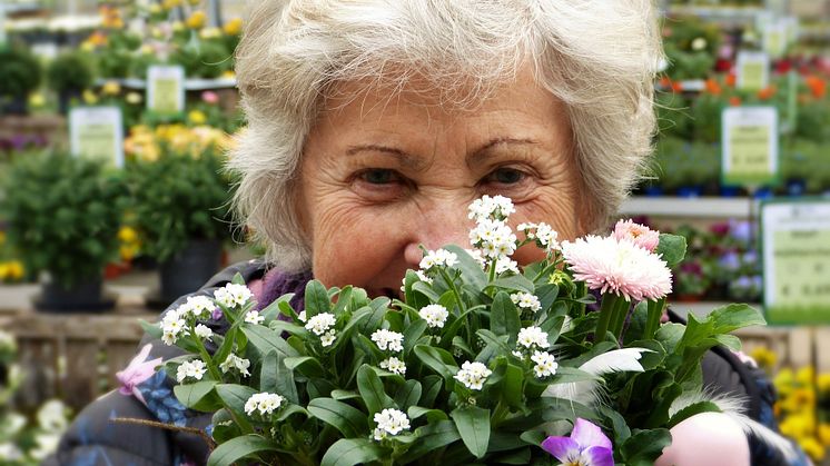 Blodprovstest kan upptäcka Alzheimers sjukdom tidigt. Foto: Pixabay. CC0