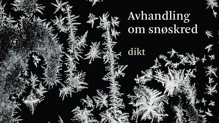 Avhandling om snøskred