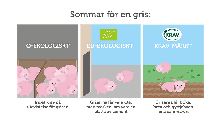 KRAV: Låt fler djur vara utomhus