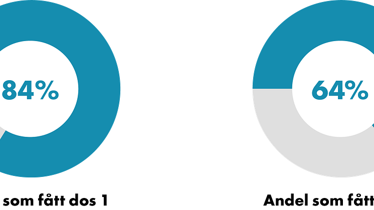 210820_Cirkel andel.png