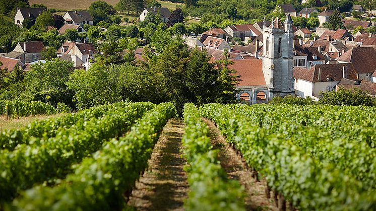 image-moyen-simonnet_febvre058.jpg