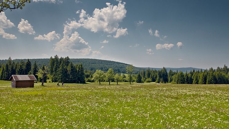 Naturidylle und Zweiradliebe _Foto_Tourismusverband Erzgebirge e.V.R.Gaens