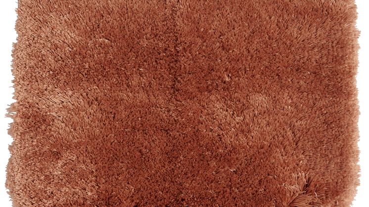NYHET! Bath mat Shaggy 50x65 cm Pecan Brown Polyester 9,99 EUR.jpg