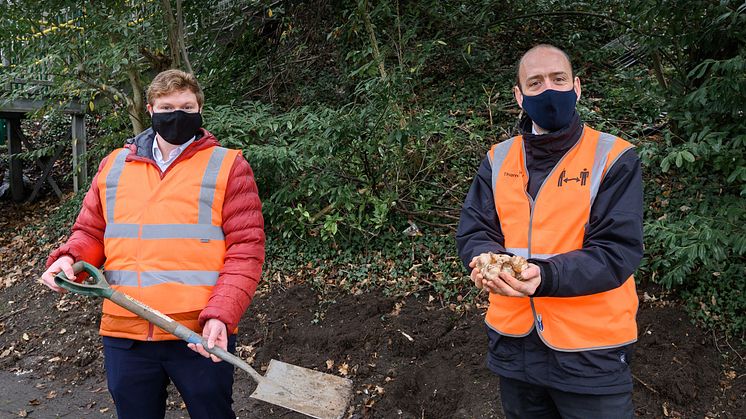 GTR-Groundwork partnership planting programme begins