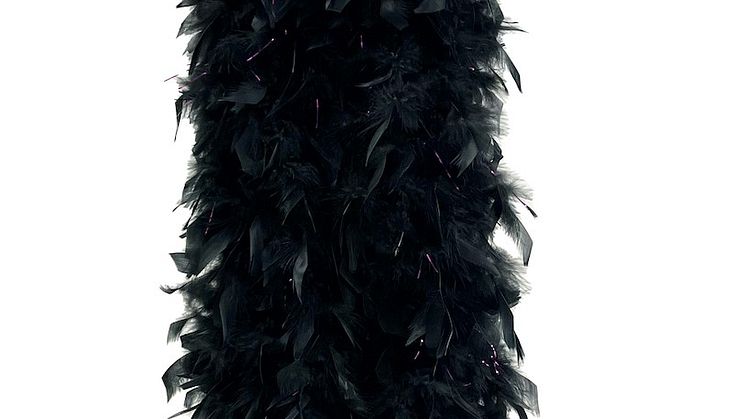 2023_Fabulous boa Jonas Hallberg Buttericks