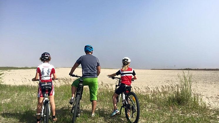 Det finns gott om fina cykelleder och -stigar runt Piteå för härliga naturupplevelser.      Foto Ann-Sofie Boman