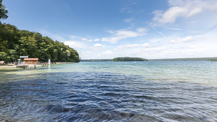 Glasklares Wasser bietet der Stechlinsee. Foto: TMB-Fotoarchiv/Steffen Lehmann.