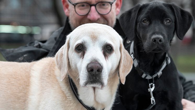 bragdhund 2021_1.jpg