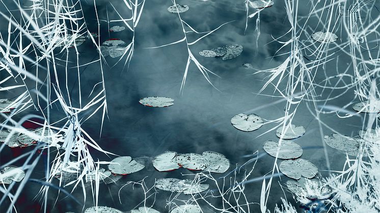 Santeri Tuori: Water Lilies #9, 2020, pigmenttivedos. Yksityiskohta teoksesta.