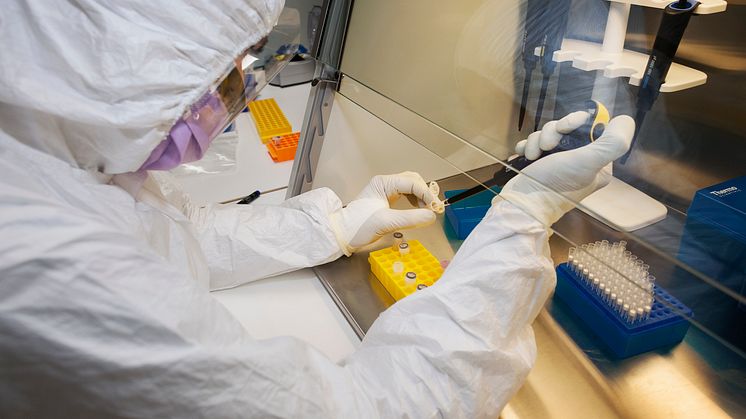 DNA-analyser på lämningar från bronsåldern som förvaras i svenska museer ger ny pusselbit till migrationen vid Medelhavet. Foto: Jens Olof Lasthein