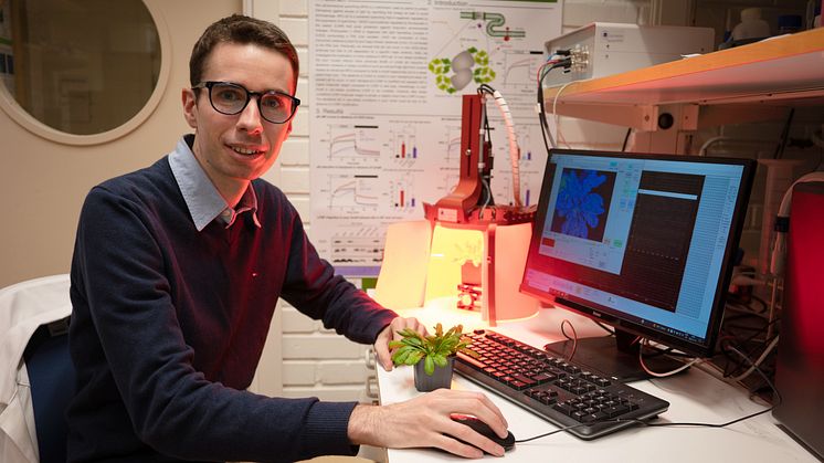 Pierrick Bru, doktorand vid Institutionen för fysiologisk botanik och Umeå Plant Science Centre. Foto: Alexis Brun
