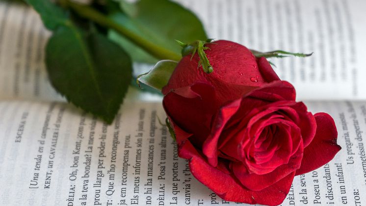 23 april, Sant Jordi. Ta reda på varför du vill vara i Katalonien.