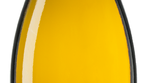 Anthium Bellone.png