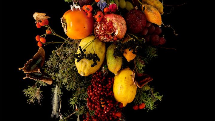 2_Rebecca_Louise_Law,_“JAN_DAVIDSZ_HEEM_DECAYE”