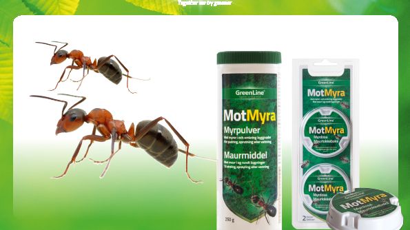GreenLines serie MotMyra!