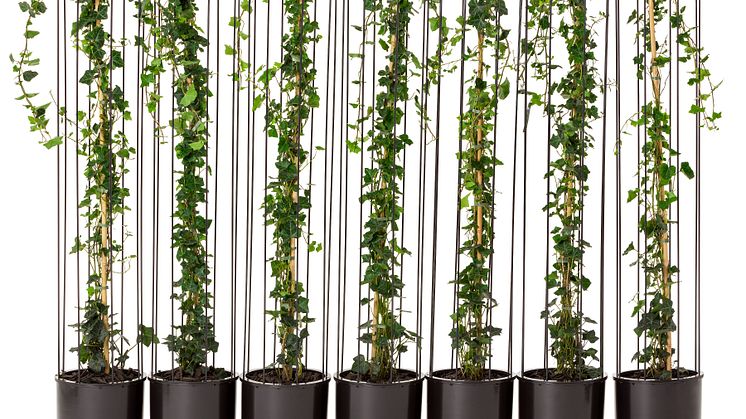 Cacti planteringskärl, design Anki Gneib 