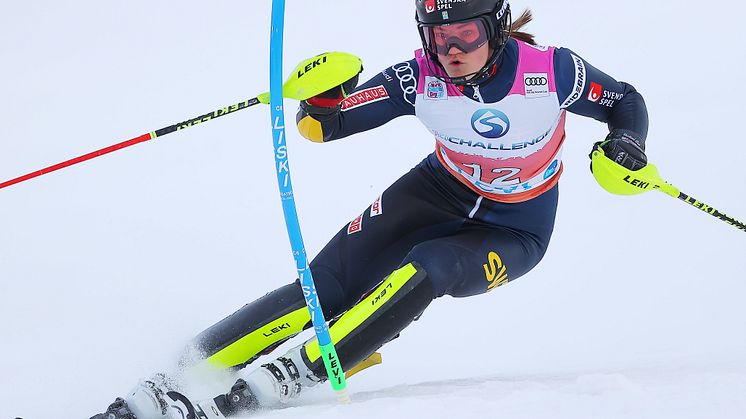 GEPA-Larsson-Action-Levi-2022