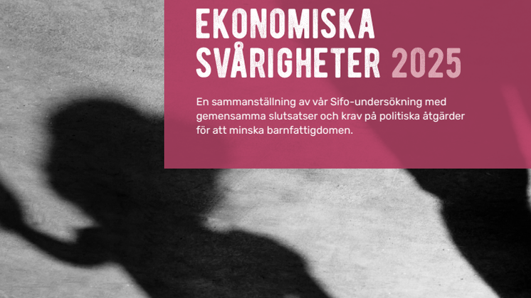 13324_Rapport_SIFO_2025_web.pdf