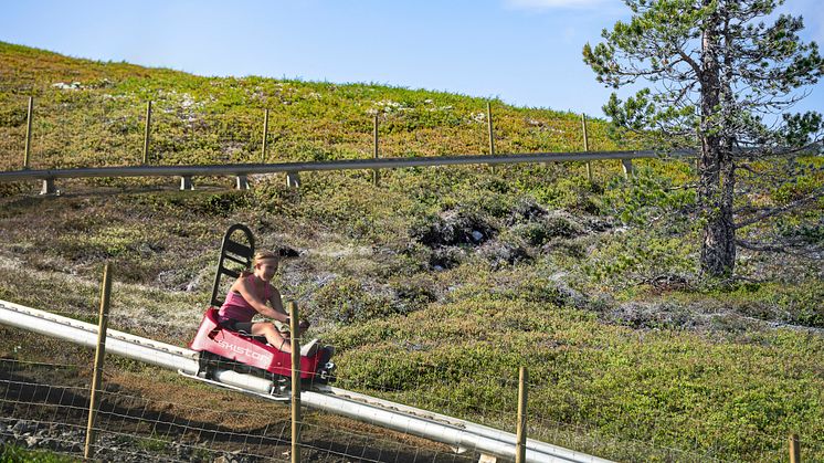 SkiStar Mounn Coaster_Trysil