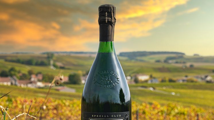 Grognet Special Club 2015 - Odlarchampagne från falaises-täta slätterna i södra cote de blanc