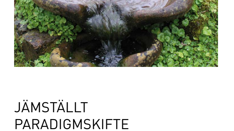 Jämställt paradigmskifte, genusbudget - ett redskap på väg