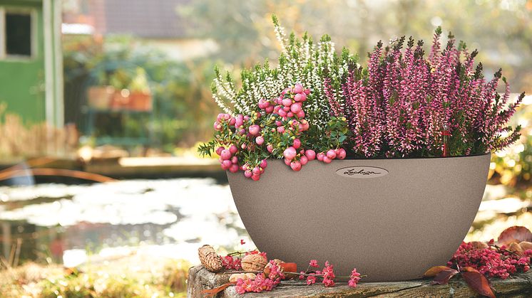 Bunter Herbst-Garten mit LECHUZA
