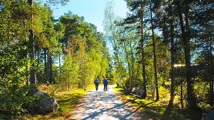 Hjälp äldre komma ut i naturen!