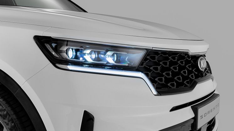 Front grille with headlights