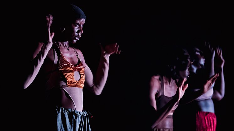 Company Nicolas Huchard - The barefoot diva
