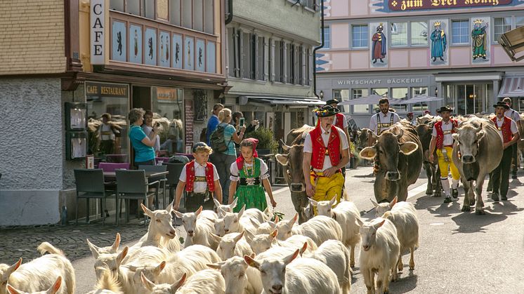 Einzug in Appenzell 